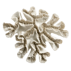 Skulptur - koral - Sandfarvet