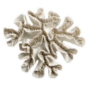 Skulptur - koral - Sandfarvet