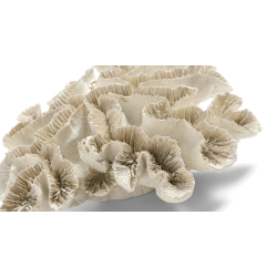 Skulptur - koral - Sandfarvet