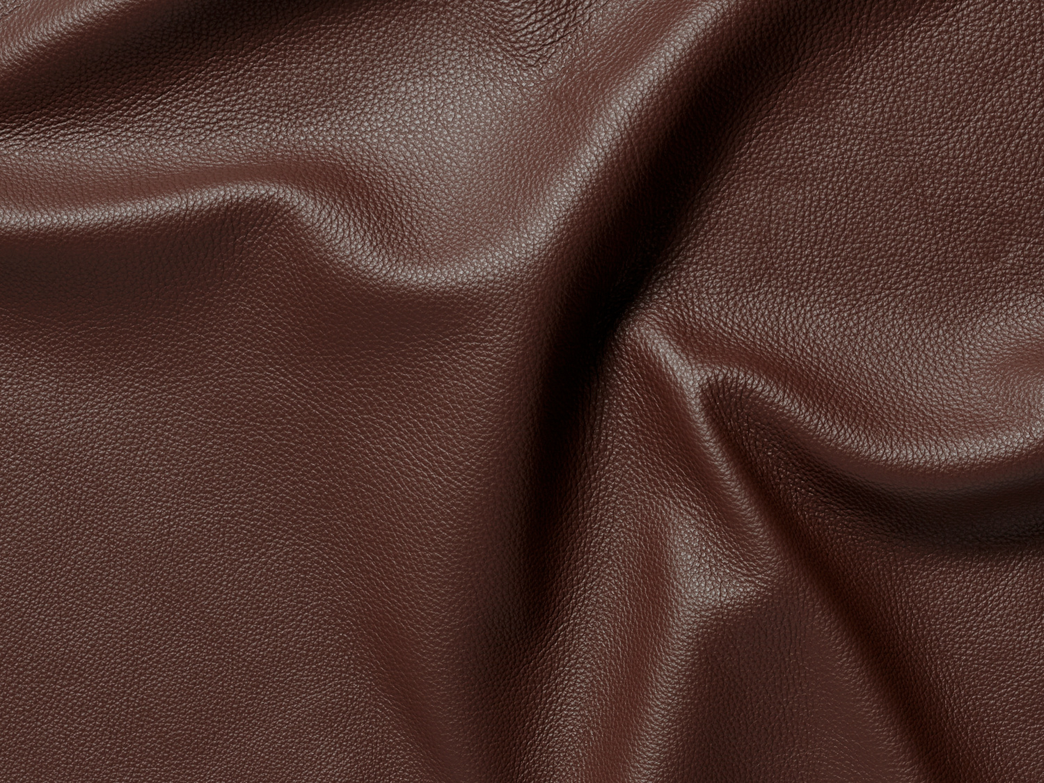 RESTPARTI - Hel koskind - Mocca